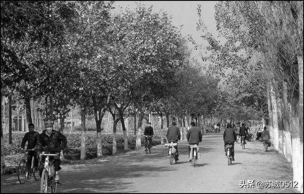 走在80年代的大街上(送给还有80记忆和90后的朋友)-2