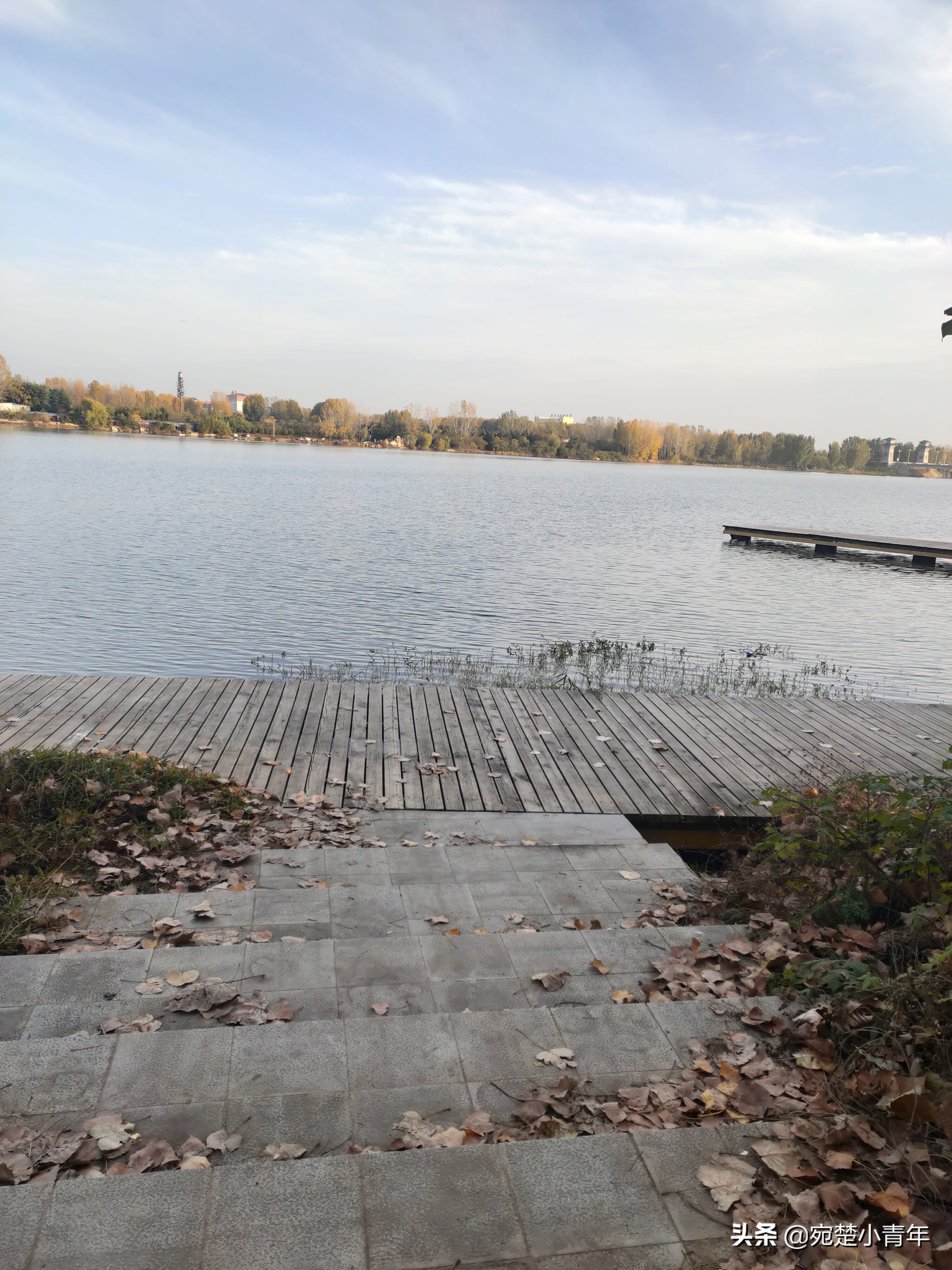 错过遗憾一辈子，大美南阳之秋：黄叶满地天湛蓝