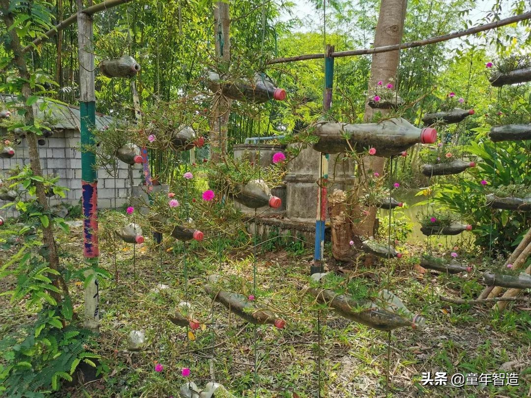 夜半*拍偷**下,成就今年第一部神级纪录片:黑暗下的生命,超乎想象