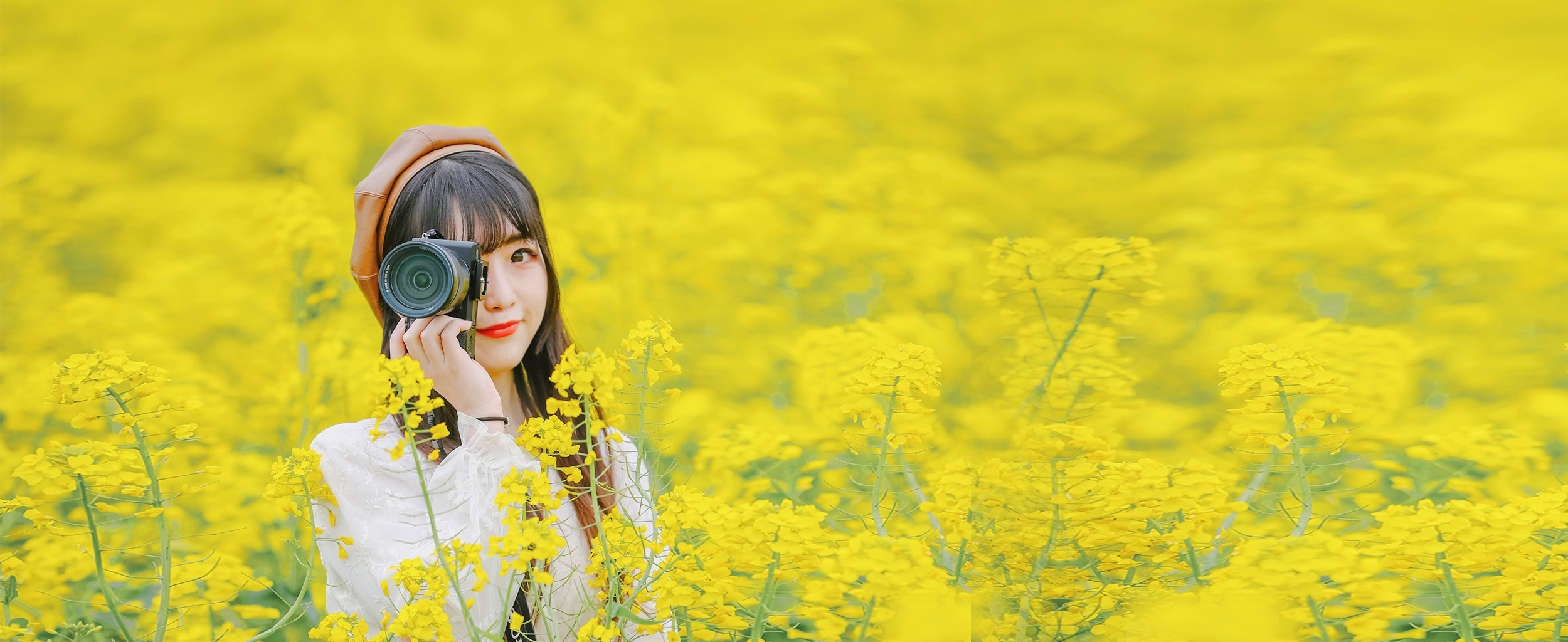 兴化三日游自驾游路线,去兴化看油菜花海攻略