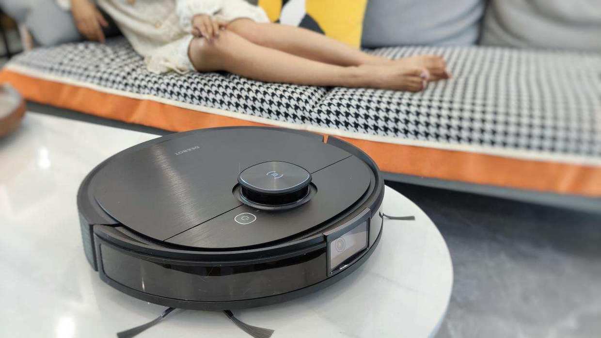 家有猫主的铲屎官,家有猫咪铲屎官