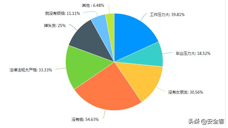 网安人员,网安工作人员