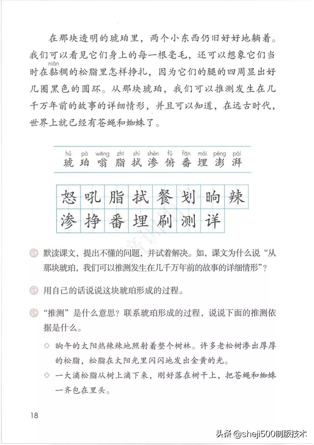 四年级语文下册第5课琥珀知识点,语文书四年级下册琥珀预习分段