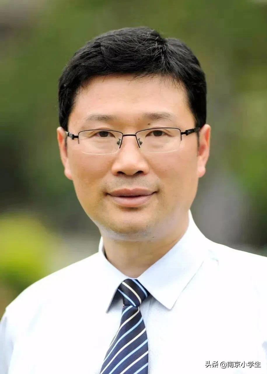 南京十所小学排名,南京10大民办中学