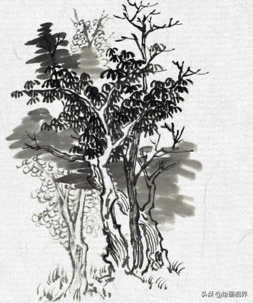 中国画零基础入门技巧,中国画传统画树技法