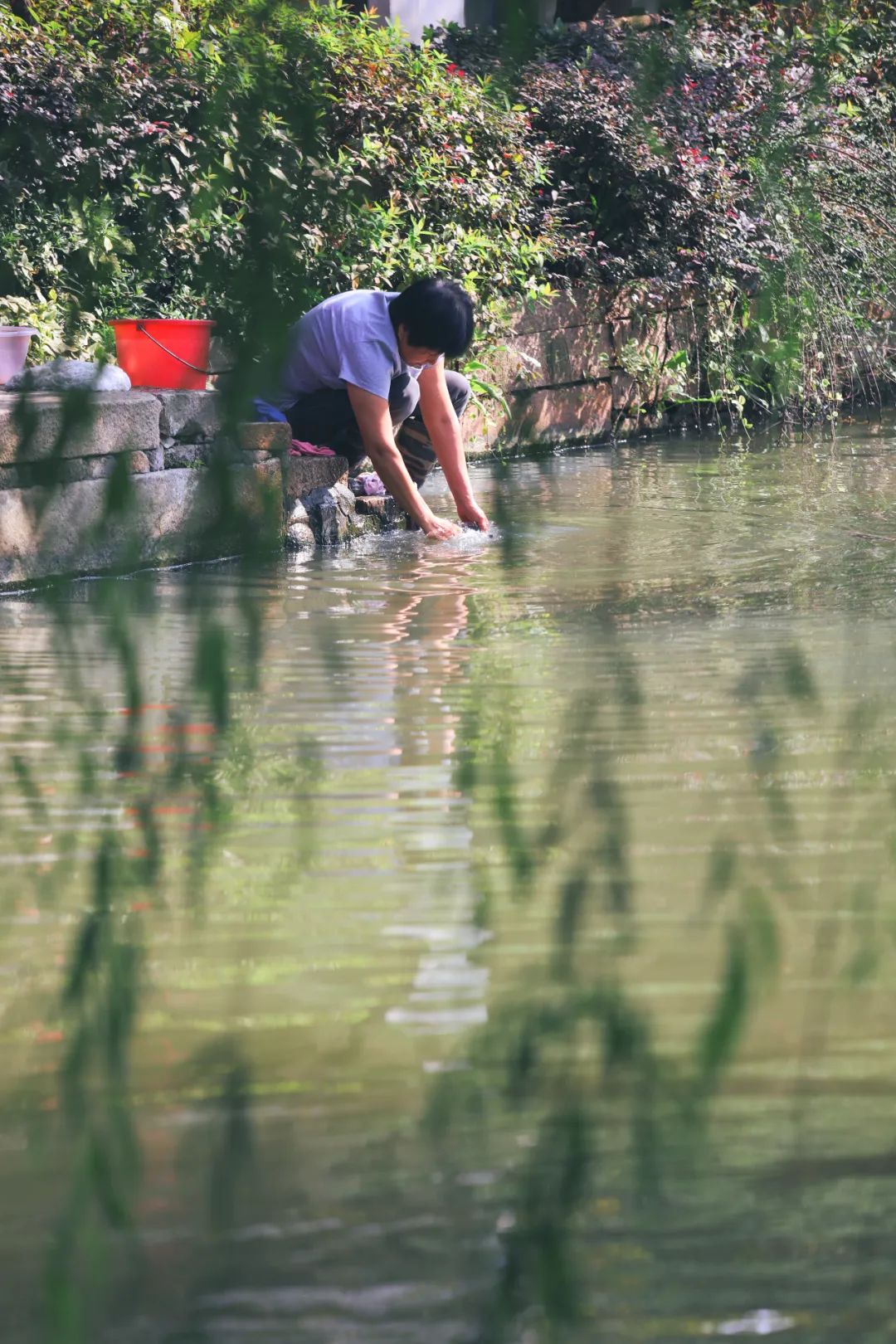 别再去西塘周庄挤了！苏州最有人间烟火气的古镇，假期依旧安静