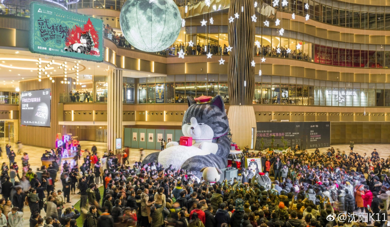 大家都在争抢猫爪杯？吸猫的最高境界，带着摄影机“猫步走天下”