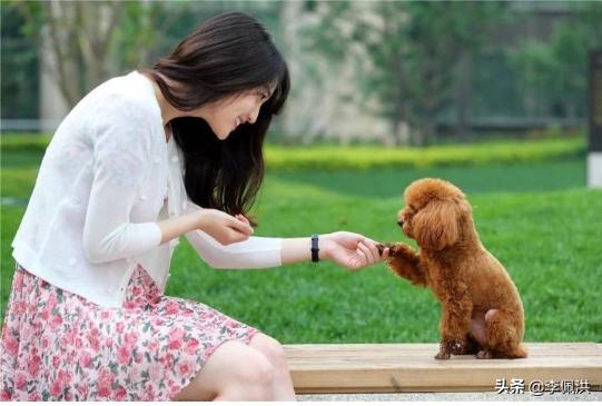 宠物医院靠什么盈利赚钱的多,宠物医院不赚钱为什么越开越多