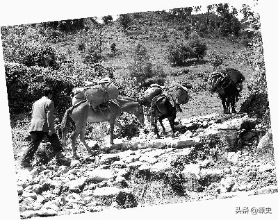 历史上茶马互市是干什么的,茶马互市起源于哪个朝代