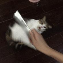 搞笑gif一看就是聪明人,搞笑gif趣图果然是亲生的笑死我了