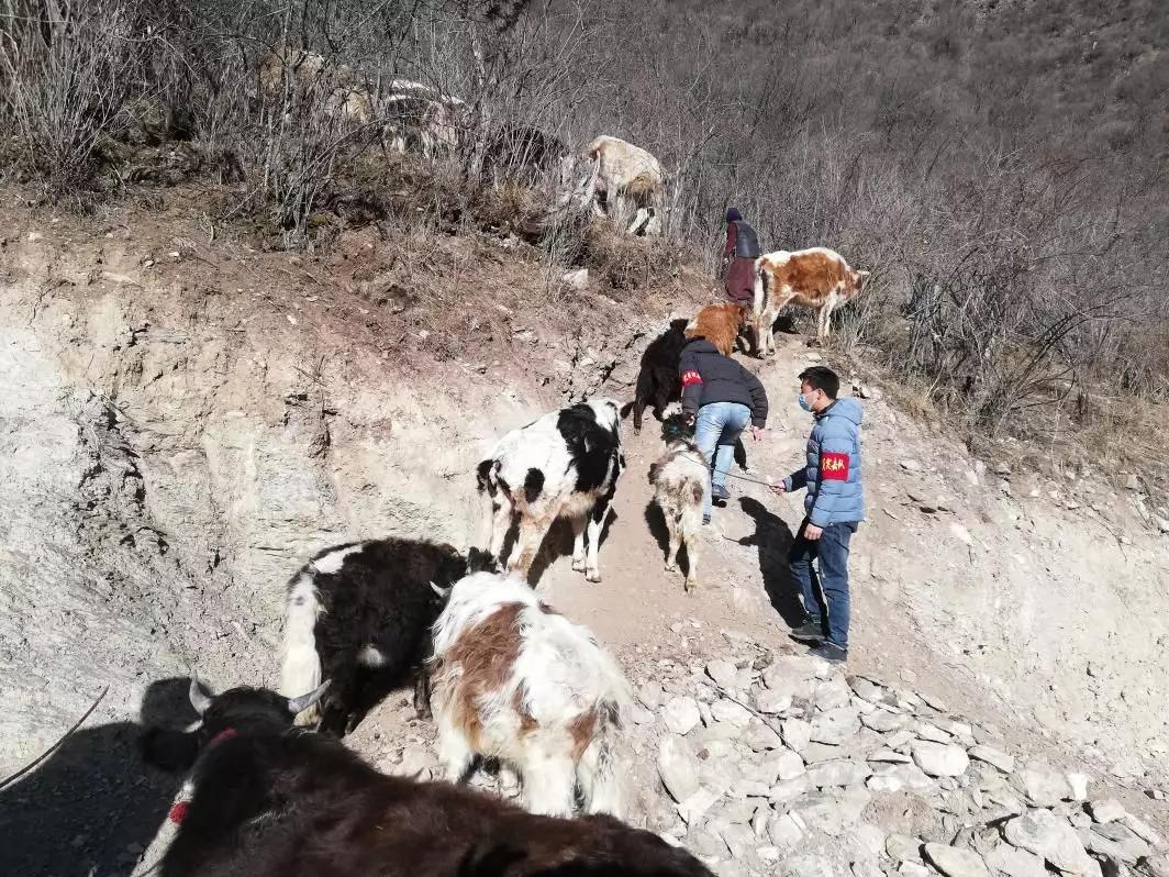 助力脱贫攻坚同心共抗疫情,疫情防控脱贫攻坚两不误