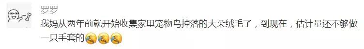羽绒被鹅绒被哪个牌子实惠又好,鹅绒羽绒被95%与90%哪个好