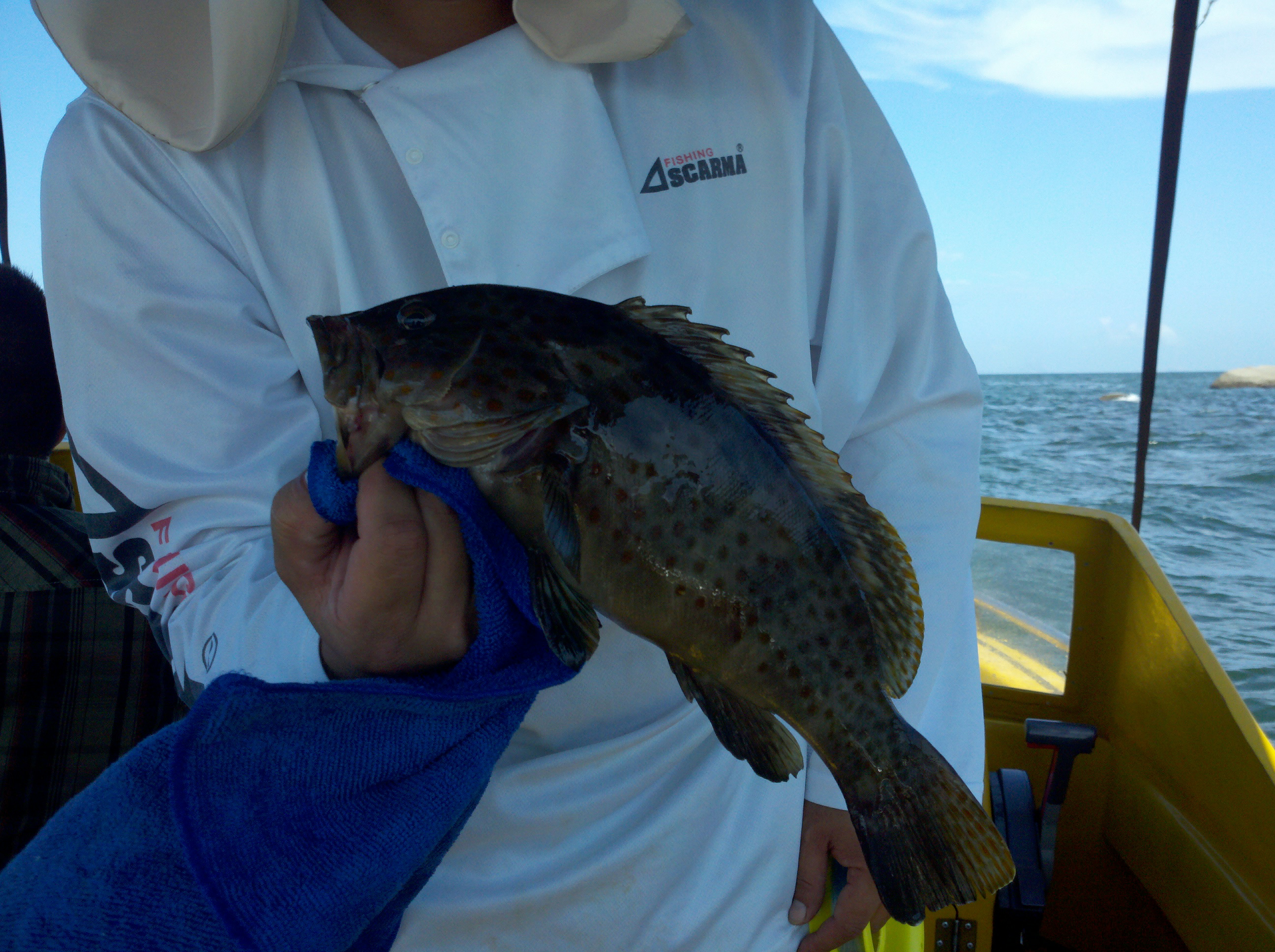 海钓手丝钓法教学,独特的钓法和使用方法