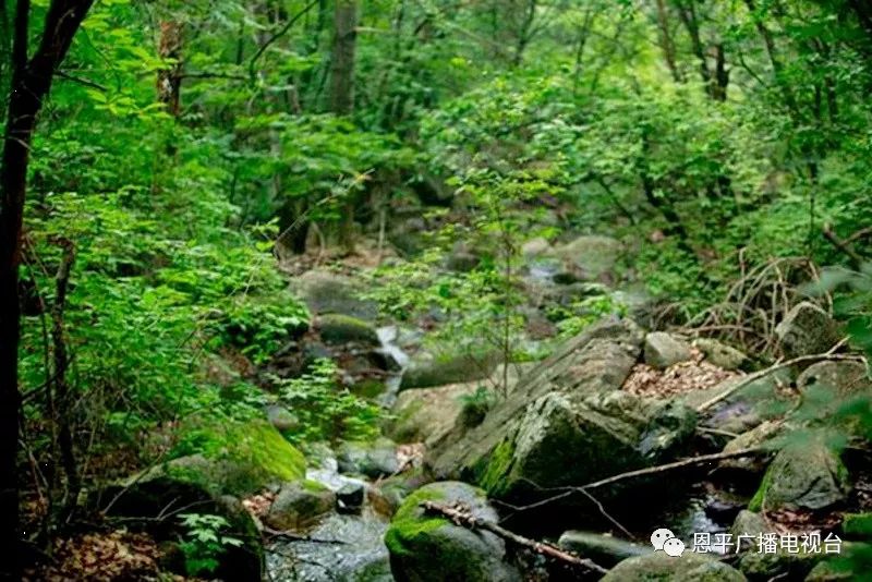 恩平市最新规划图,广东恩平城市发展规划