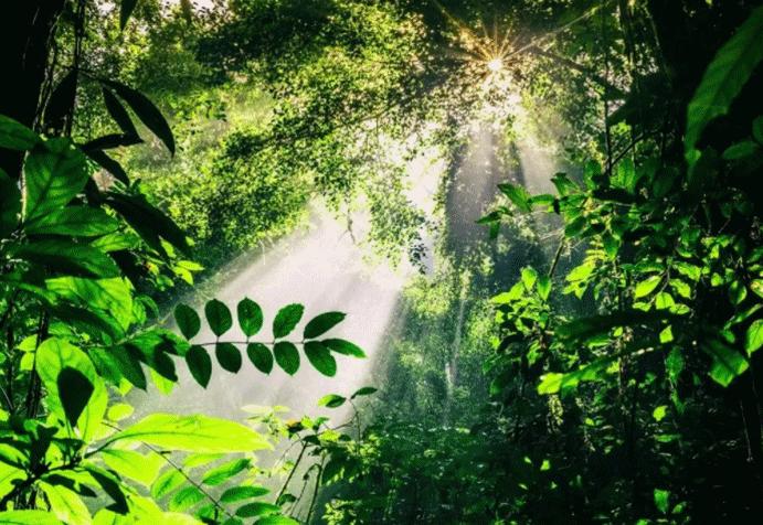 为什么云南女人长相好看,云南真的很漂亮吗