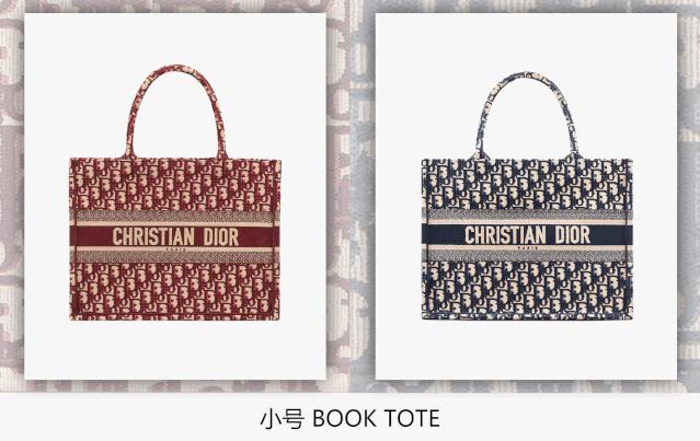 dior值得买的马鞍包是哪款,dior最好的十款包