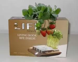 农村创业点子大全,农村创业新点子