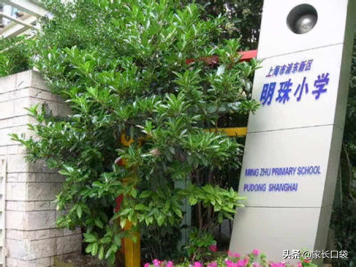 错过了民办小学摇号报名怎么办,摇号不中回来还有定向分吗