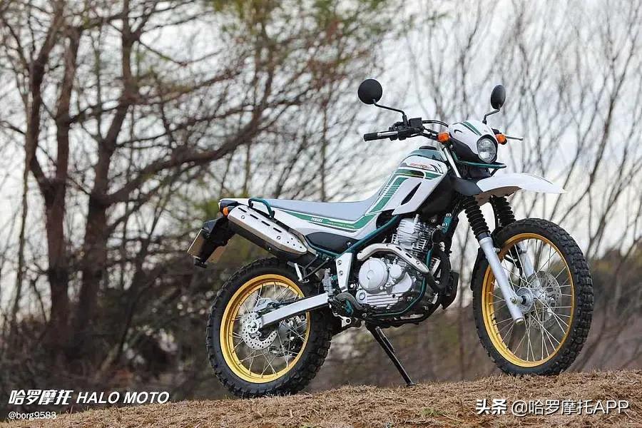 国内250cc摩托车排名,日本250双缸摩托推荐