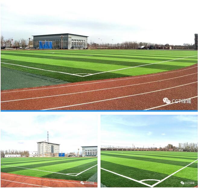 国外人造草坪足球场,高端人造草足球场