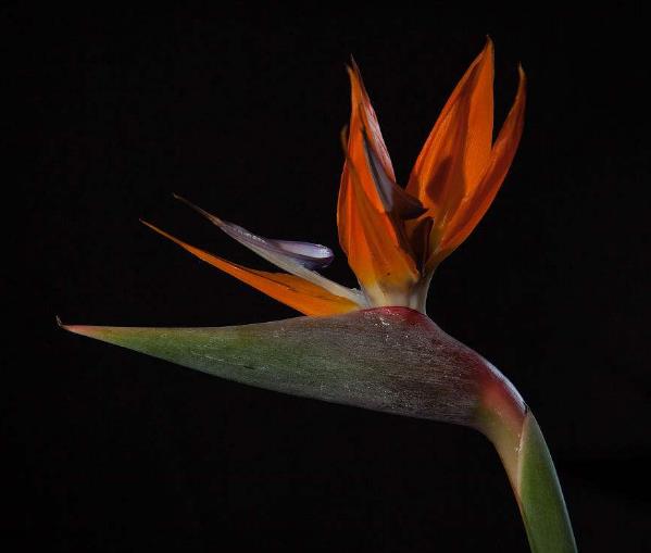 做人处事如何把握好度,怎样做人才能混得好