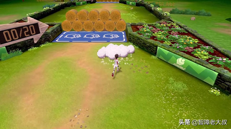 宝可梦剑盾完全版评测,宝可梦剑盾测评