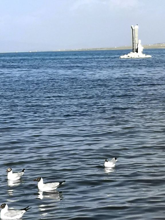 大西北札记,大西北之旅青海湖8月