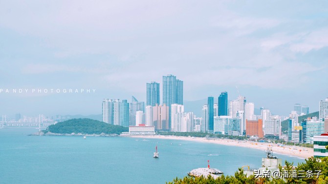 去韩国不购物回来的感受,去韩国一定要买什么