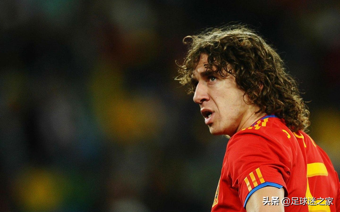 这些动物组一支足球队能统治当今足坛,你服不服