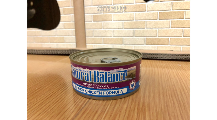 猫咪的主食罐推荐,k9猫咪主食罐头测评