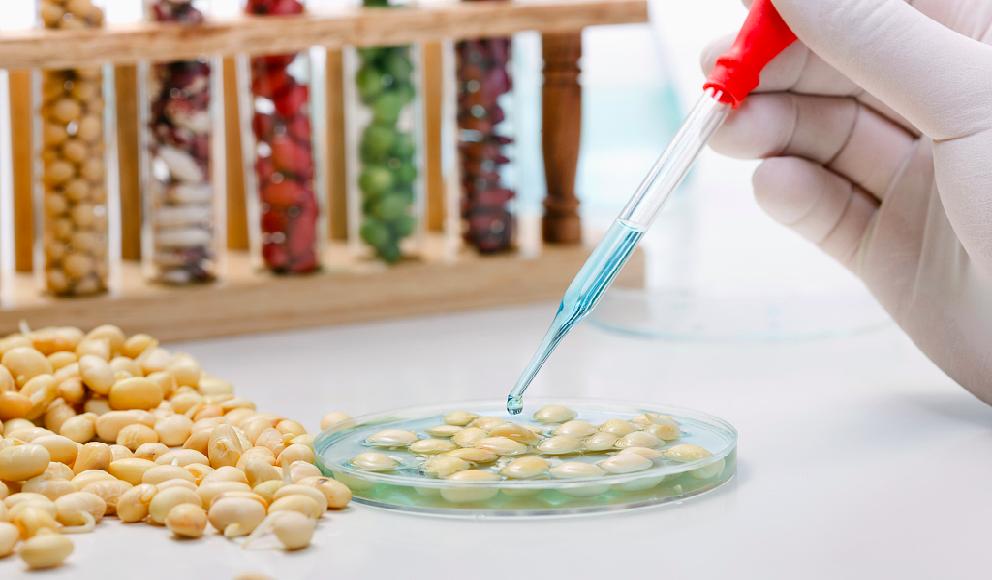 如果饲料也有“米其林”评级，蛋白质只算家常菜，肽才是精致料理