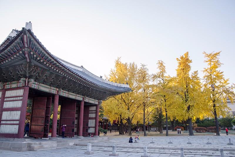 第一次去首尔攻略,上海到韩国首尔旅游攻略