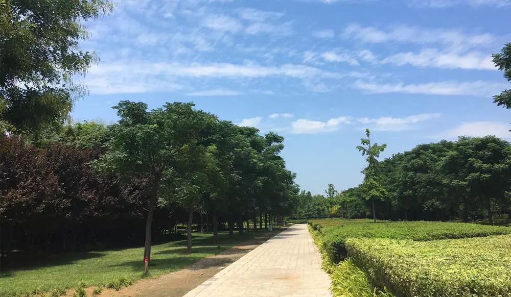 郑州中原区免费运动场地,郑州免费开放的体育场馆名单