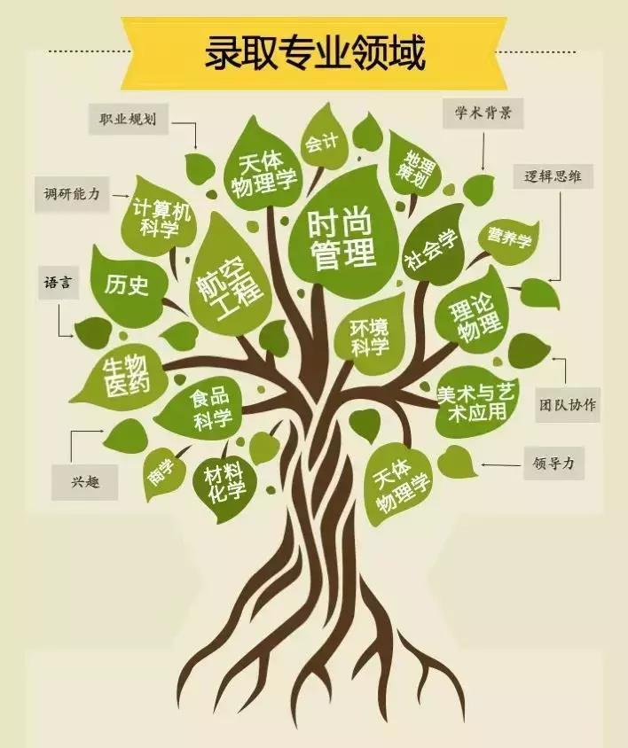 德胜学校国际部,德胜学校国际部有没有免费班