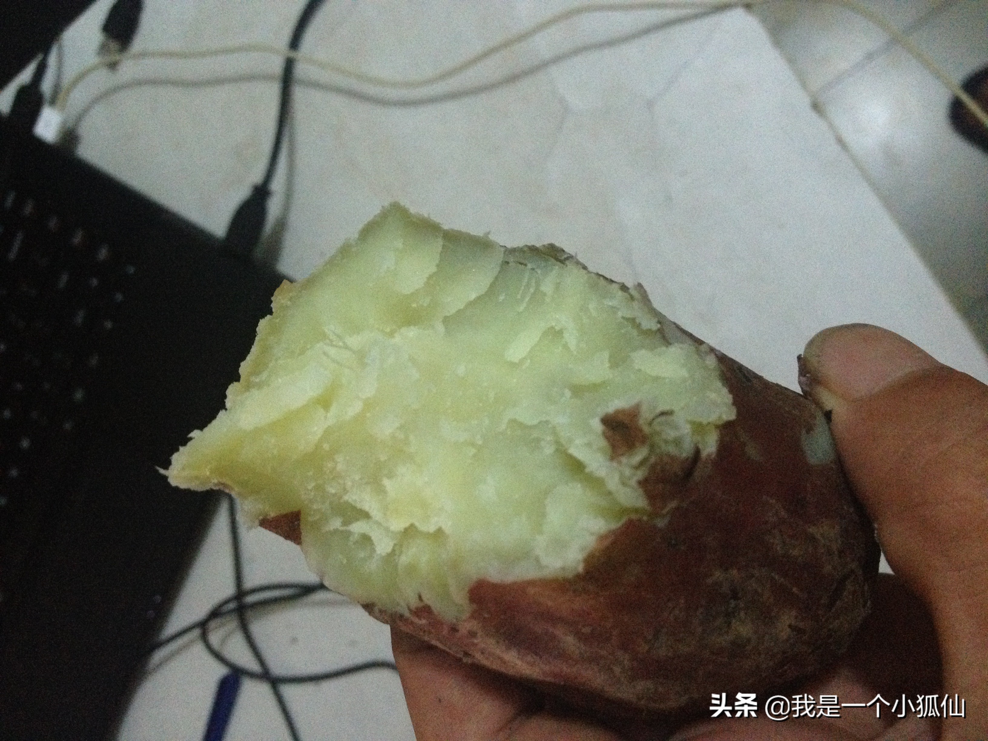 在安哥拉买了几块黑人种的山药,不好吃,我吃一半给狗吃了一半