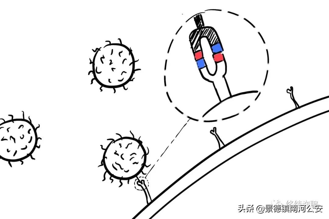 科普病毒真实情况,科学家研究病毒科普小知识