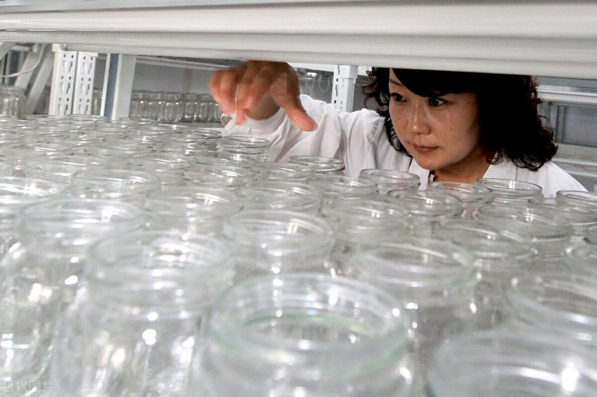 中专化学工艺专业有前途吗,学化学工程与工艺专业有前途吗