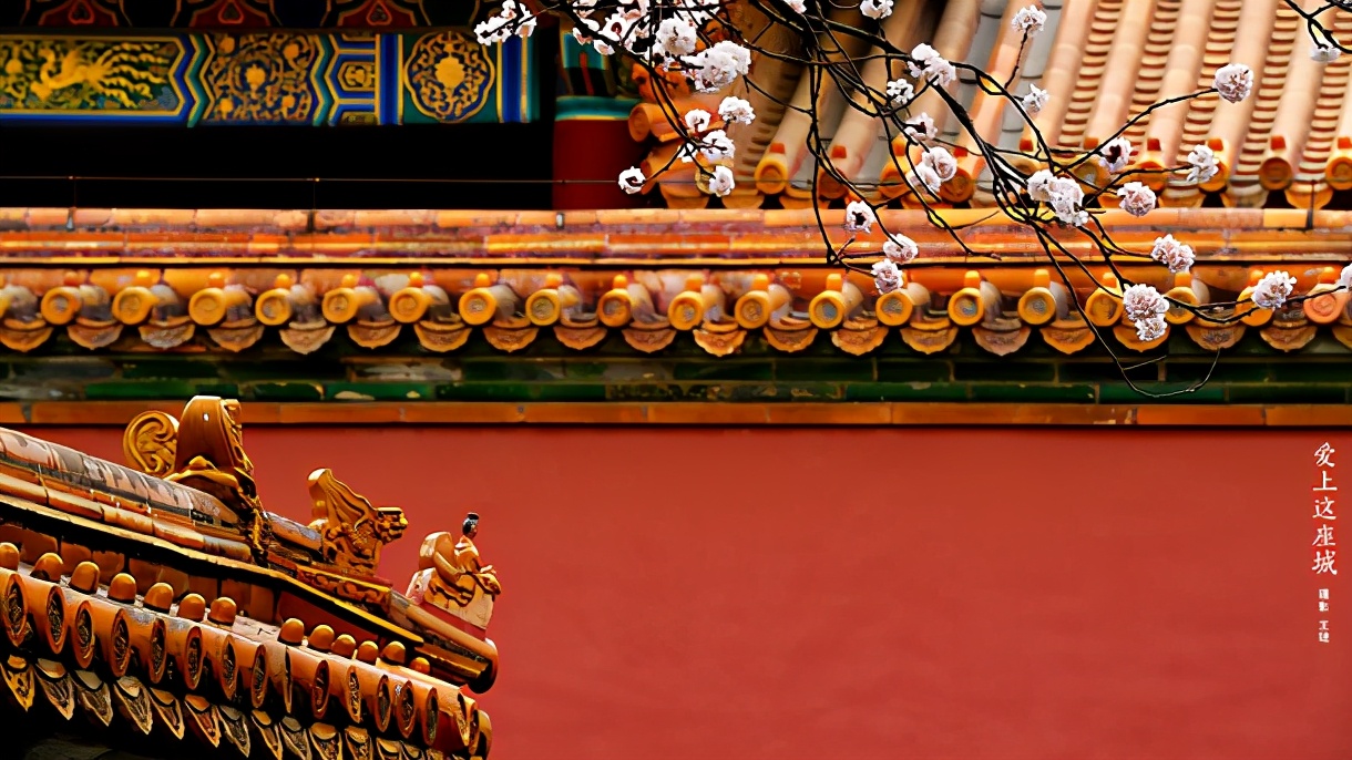 带弘字风华绝代的女孩名字,清新脱俗