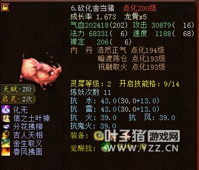 大话西游2新区克金队,大话西游2大力投资