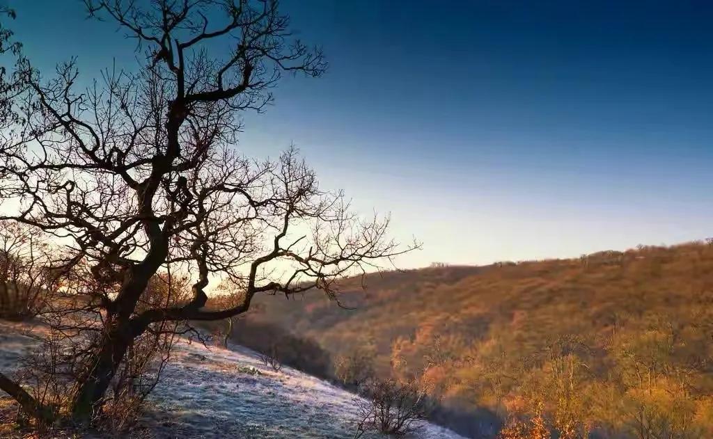 关于月的10首诗,以月为意象的十首诗