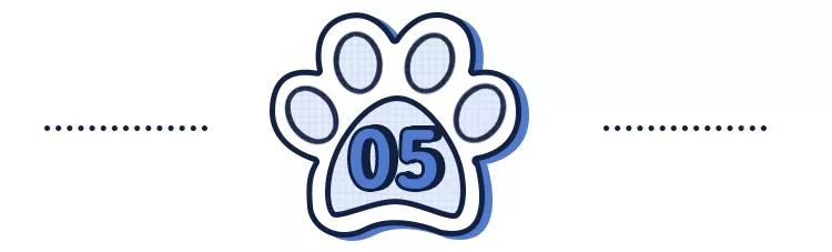 猫狗常用药品大全,猫狗必备药