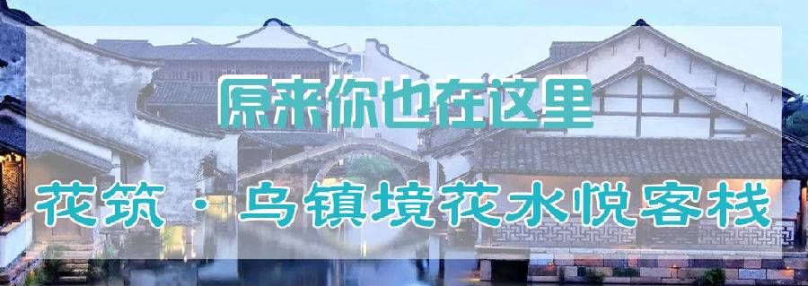 乌镇旅游民宿团购单人,乌镇民宿客栈80元左右