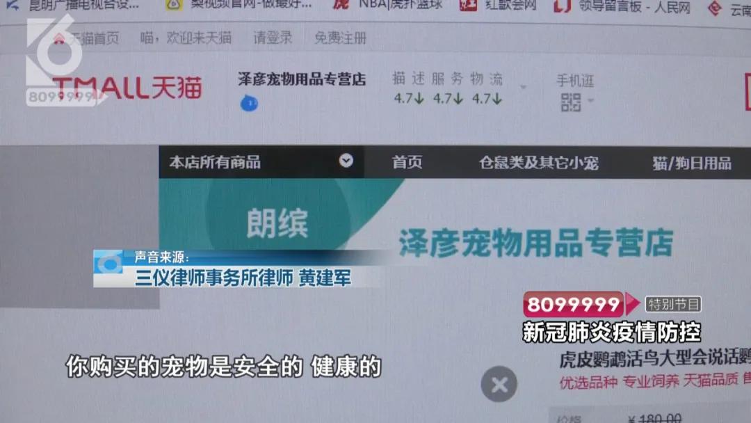 现在的花鸟市场还能卖吗,花鸟市场能买到吗