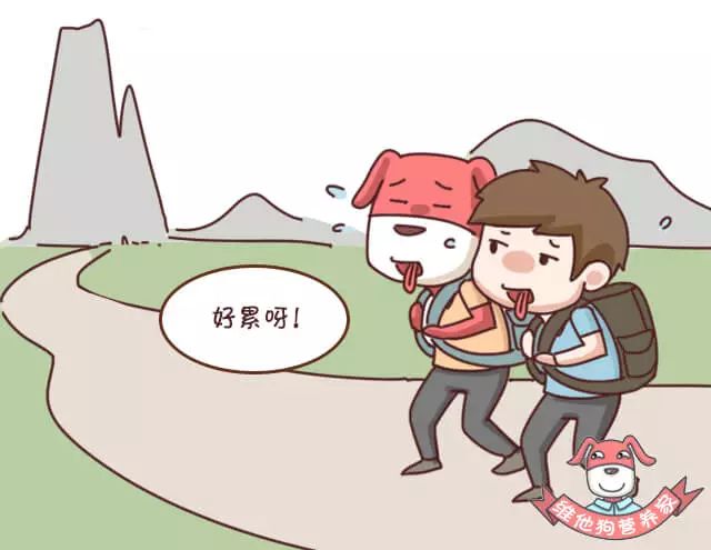 突然之间便秘失眠,一出远门就便秘怎么办