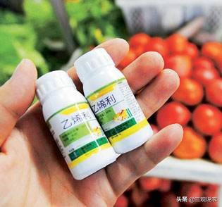 植物生长调节剂催熟,有催熟作用的植物生长调节剂