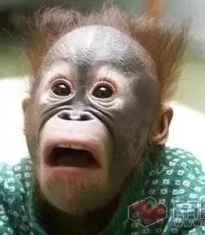 欧阳娜娜仿妆橘朵,30岁baby19岁欧阳娜娜雀斑妆