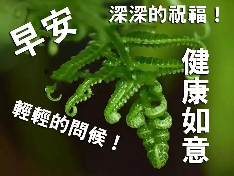 人生若只如初见早安,心语人生若如初见