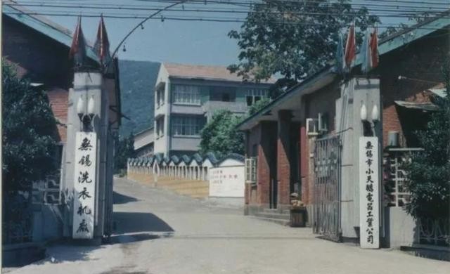 连续11年销量第一却被收购，“小天鹅”如何蜕变成丑小鸭