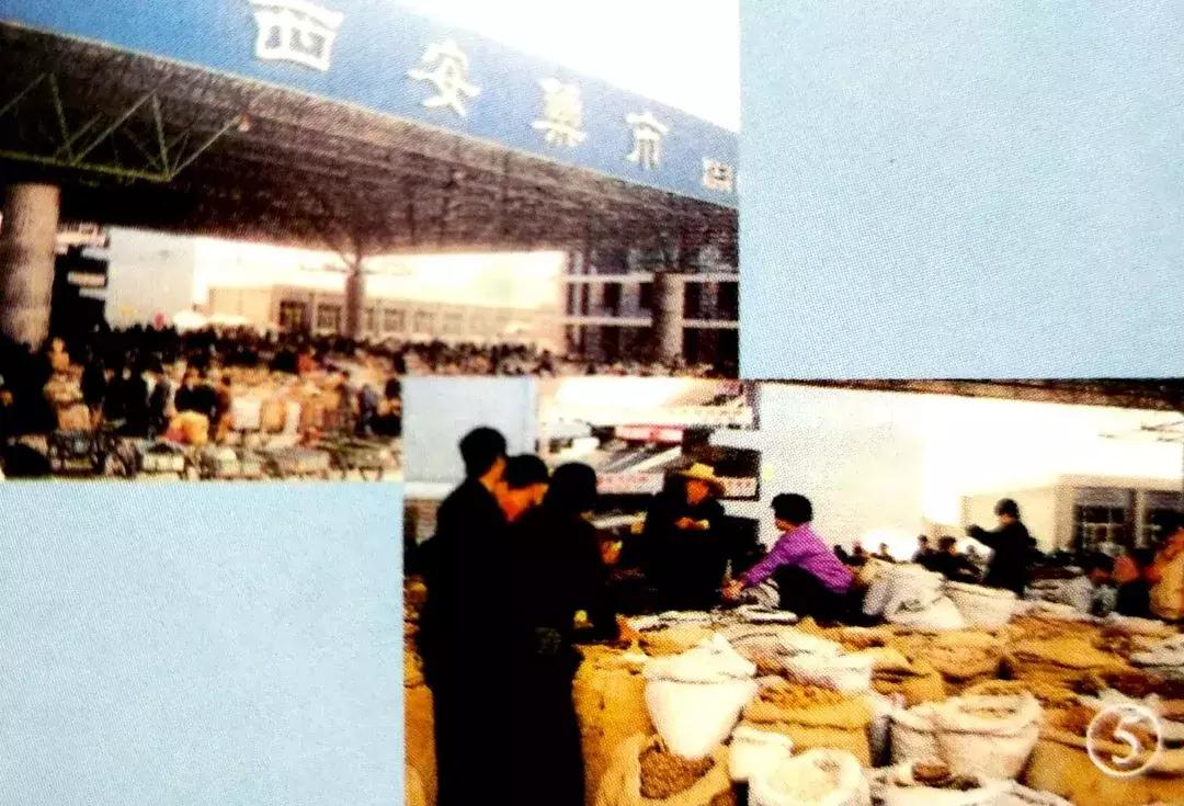 改革开放40年｜那一年，灞桥正在发生改变