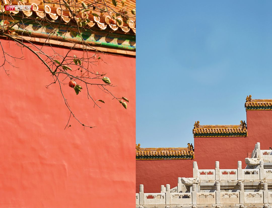 过去老师拖着我去的博物馆，现在成了我的买买买胜地？